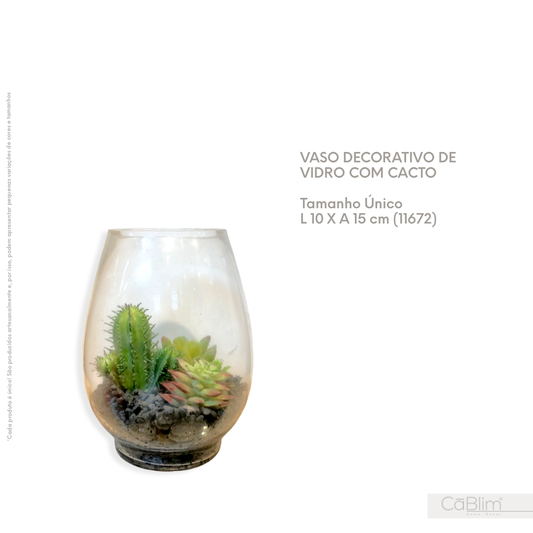 Vaso Decorativo de Vidro com Cacto