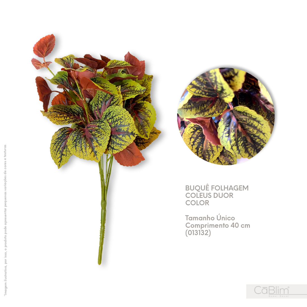 Buquê Folhagem Coleus Duor Color