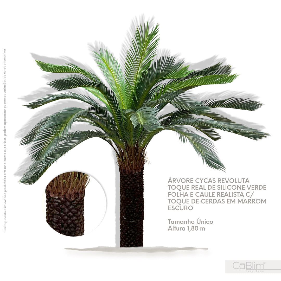 Árvore Artificial Cycas Revoluta Toque Real de Silicone Verde Folha e Caule Realista com Toque de Cerdas em Marrom Escuro