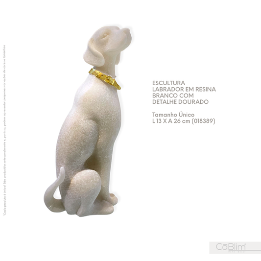 Escultura Decorativa Labrador em Resina Branco com Detalhe em Dourado